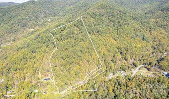 10 Dodd Rd, Barnardsville, NC 28709