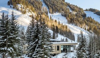 296 Glen Dee Rd, Aspen, CO 81611