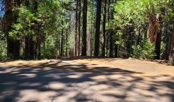 829 Honey Ct, Arnold, CA 95223