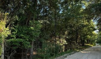Tbd Old Castle Road, Barnwell, SC 29812