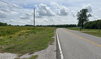 54 Acres Hwy 207, Anderson, AL 35610
