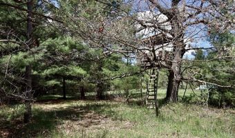 5826 S Morrison Rd, Alger, MI 48610