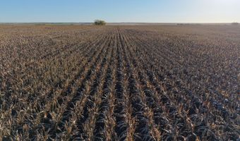 00000 CR 140, Alexander, KS 67513