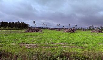 9 219 Ac Rhine Alma GA Rd, Alma, GA 31510