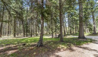 13034 Red Owl Trl, Bigfork, MT 59911