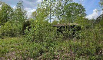17811 Puckett Rd, Alexander, AR 72002