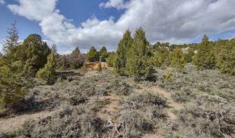 unit 10 10, Alton, UT 84710