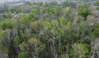 3608 Thomasina Rd, Alexandria, LA 71302