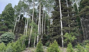 Lot 141 Back Basin Rd, Angel Fire, NM 87710