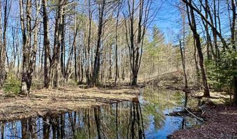 2659 NH Route 16, Albany, NH 03818