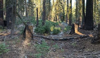 550 Cabbage Patch Log Rd, South Lake Tahoe, CA 95223