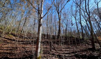 0 State Route 550, Amesville, OH 45711