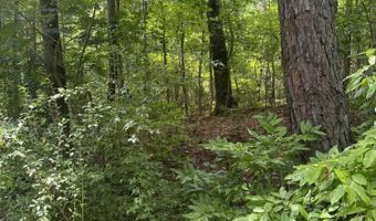 Old Dark Rd, Alexander City, AL 35010