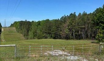 2 SOCIETY HILL Rd, Auburn, AL 36830