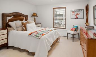 960 E Durant Ave 6, Aspen, CO 81611