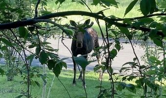 1055 Skywood Rd, Big Sky, MT 59716