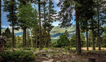 10 Brazos Dr, Angel Fire, NM 87710