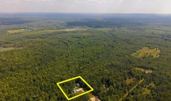 2711 Hatley Rd, Fife Lake, MI 49633