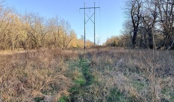 0002 CR-290, Asbury, MO 64832