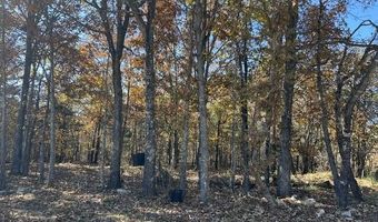 County Road P-309, Alton, MO 65606