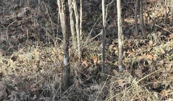 Williams Road, Bald Knob, AR 72010