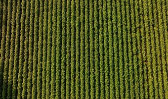 1037 Cr 300, Big Creek, MS 38914