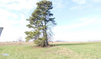 451 Johnson Rd, Albertville, AL 35951