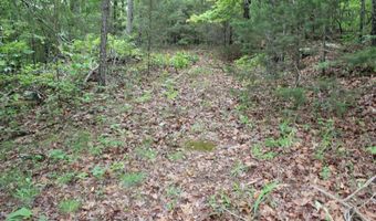 E Mountain Road, Bee Branch, AR 72013