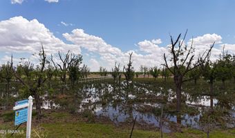 563 Aldaz Rd, Anthony, NM 88021