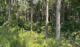 216 County Road 201, Ariton, AL 36010