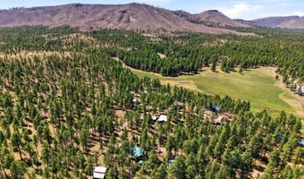18 County Rd 2120, Alpine, AZ 85920