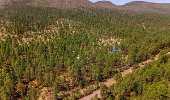 56 Co Rd 2266, Alpine, AZ 85920