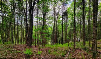 5897 VT-102, Bloomfield, VT 05905