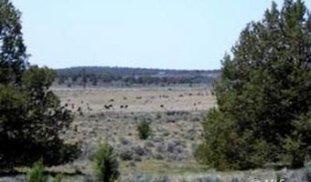 Hafer Hills Rd Ln lot 10, Alturas, CA 96101