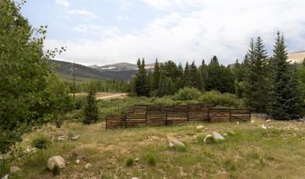 133 Gold Run Rd, Alma, CO 80440