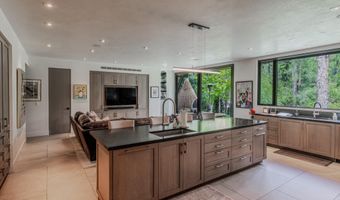 1110 Black Birch Dr, Aspen, CO 81611