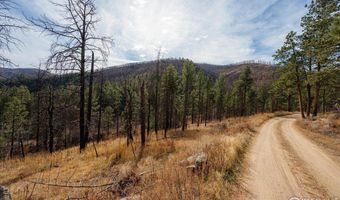 0 Cougar Cir Ct, Bellvue, CO 80512