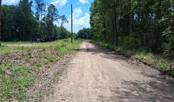 Dan Churchman Road, Axis, AL 36505