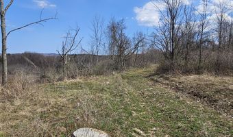 295 Shellstone Rd, Amsterdam, NY 12010