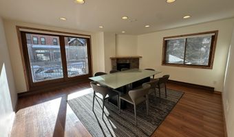 210 E Hyman Ave 201 & 202, Aspen, CO 81611