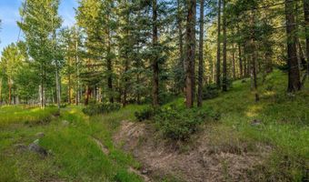 21 County Road 2043, Alpine, AZ 85920