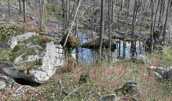 493 Wheeler Mountain Rd, Barton, VT 05822