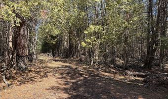 139 AC Witt Rd, Alpena, MI 49707