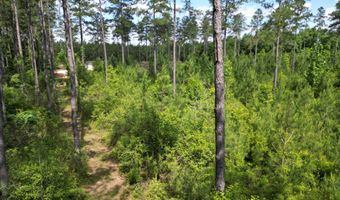8450 Robinsonville Rd, Atmore, AL 36502