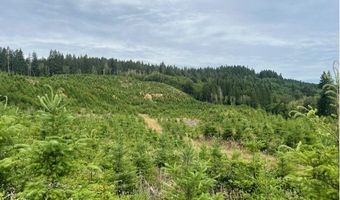 Northrup Creek Rd, Birkenfeld, OR 97016