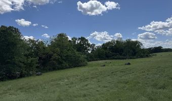 Tract 10 Hwy 105 South, Atkins, AR 72823