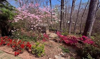 551 Gold Rush Ct, Ball Ground, GA 30107