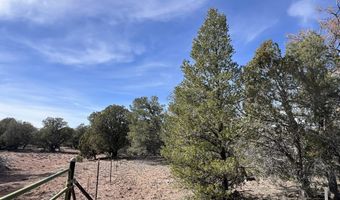 5 Deer Droppings, Ash Fork, AZ 86320
