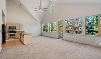 711 Evans Ct, Basalt, CO 81621