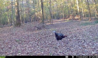 425 Rose Hill Rd, Bentonia, MS 39040